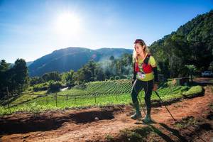 BIB: 
                            <button type="button" onclick="openModal(19177570)" class="btn btn-primary btn-sm float-right btn-popup" data-toggle="modal" data-target=".modal-high-quality">
                        <i class="fas fa-shopping-cart"></i> Add to Cart
                    </button>
                                            <button type="button" onclick="isThisMe(19177570, true)" class="btn btn-success btn-sm float-right btn-popup btn-isme hidden" data-toggle="tooltip" data-placement="bottom" title="นี่คือรูปของคุณใช่ไหม คลิกที่นี่เพื่อเอาเข้าอัลบั้ม">
                        <i class="fas fa-plus"></i> Add to album
                    </button>
                    <button type="button" onclick="isThisMe(19177570, false)" class="btn btn-warning btn-sm float-right btn-popup btn-isnotme hidden">
                        <i class="fas fa-ban"></i> Remove from album
                    </button>